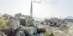 অবৈধ মাটি কাটা ও ইটভাটার দৌরাত্ম্য কৃষি উৎপাদনে হুমকি