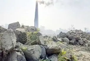 চাঁদপুরে ফসলি জমি সংকট : অবৈধ মাটি কাটা ও ইটভাটার দৌরাত্ম্য কৃষি উৎপাদনে হুমকি