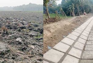 মেঘনা-ধনাগোধা সেচ প্রকল্পে পানির অভাবে দুশ্চিন্তায় চাঁদপুরের কৃষকরা