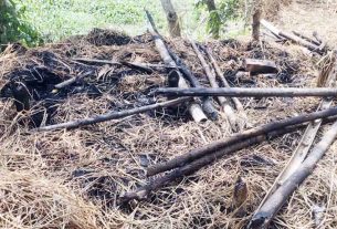 কচুয়ায় দুর্বৃত্তদের হামলায় কৃষকের খরের গাদা পুড়ে ছাই