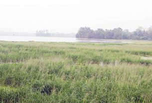 ফরিদগঞ্জে মৎস্য চাষিদের ২০০ কোটি টাকা লোকসান