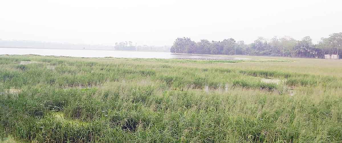 ফরিদগঞ্জে মৎস্য চাষিদের ২০০ কোটি টাকা লোকসান