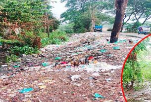 কচুয়ায় সড়কের ধারে ময়লার স্তূপ, জনদুর্ভোগ চরমে