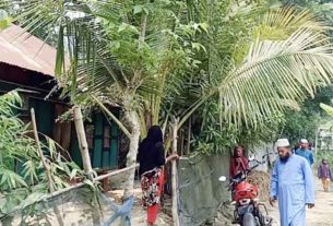 কচুয়ায় বিষধর সাপের ছোবলে প্রাণ গেল চার সন্তানের জননীর