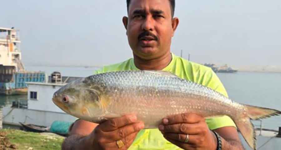 পদ্মা নদীর ২ কেজির ইলিশ সাড়ে আট হাজার টাকায় বিক্রি!