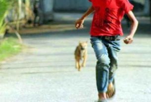 শাহরাস্তিতে পাগলা কুকুরের কামড়ে দুই দিনে ১০ জন আহত, এলাকাজুড়ে আতঙ্ক