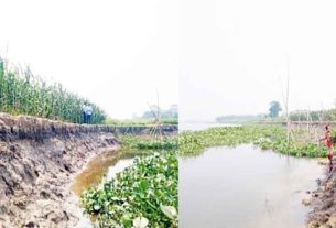 মতলবে নদীভাঙনে হুমকির মুখে হাজার একর কৃষিজমি ও শতাধিক পরিবার