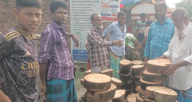 কোরবানির ঈদ সামনে রেখে মতলব উত্তরে খাইট্টার জমজমাট বাজার