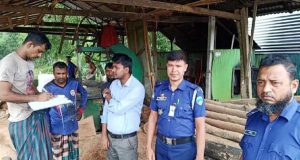 শাহরাস্তিতে করাতকল মালিককে অর্থদণ্ড প্রদান