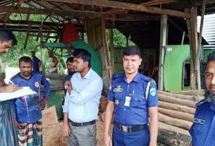 শাহরাস্তিতে করাতকল মালিককে অর্থদণ্ড প্রদান