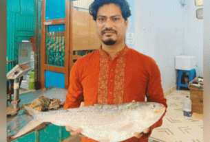 চাঁদপুর বড় স্টেশন মাছঘাটে ১৩ হাজার ৫০০ টাকায় বিক্রি হয়েছে একটি ইলিশ