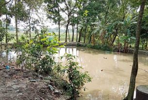 কচুয়ায় প্রবাসীর ক্রয়কৃত জমি দখলের অভিযোগ