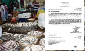 চাঁদপুরে ইলিশের দাম নিয়ন্ত্রণে সিন্ডিকেট, মূল্য নির্ধারণে মন্ত্রণালয়ে ডিসির চিঠি