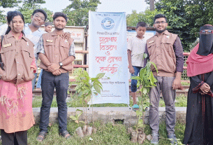 চাঁদপুরে বিশ্ব পরিবেশ দিবসে শিক্ষার্থীদের মাঝে চারাগাছ বিতরণ ও বৃক্ষরোপণ