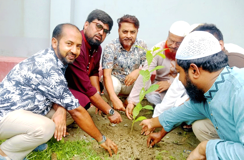 প্রান্তিক সামাজিক সাংস্কৃতিক সংগঠনের বৃক্ষরোপণ ও চারা বিতরণ কর্মসূচি