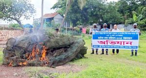 মেঘনা নদীতে ৪৫টি চায়না দুয়ারী চাঁই জব্দ