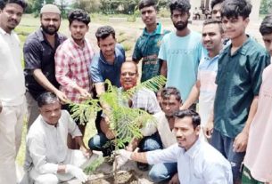 শাহরাস্তি পৌর ছাত্রদলের উদ্যোগে বৃক্ষরোপণ ও সাঁতার প্রতিযোগিতা