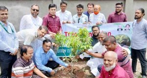 চাঁদপুর সেন্ট্রাল রোটারি ক্লাবের বৃক্ষরোপণ ও চারা বিতরণ