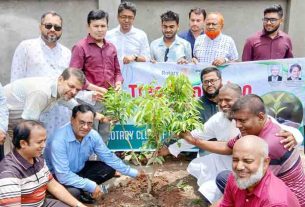 চাঁদপুর সেন্ট্রাল রোটারি ক্লাবের বৃক্ষরোপণ ও চারা বিতরণ