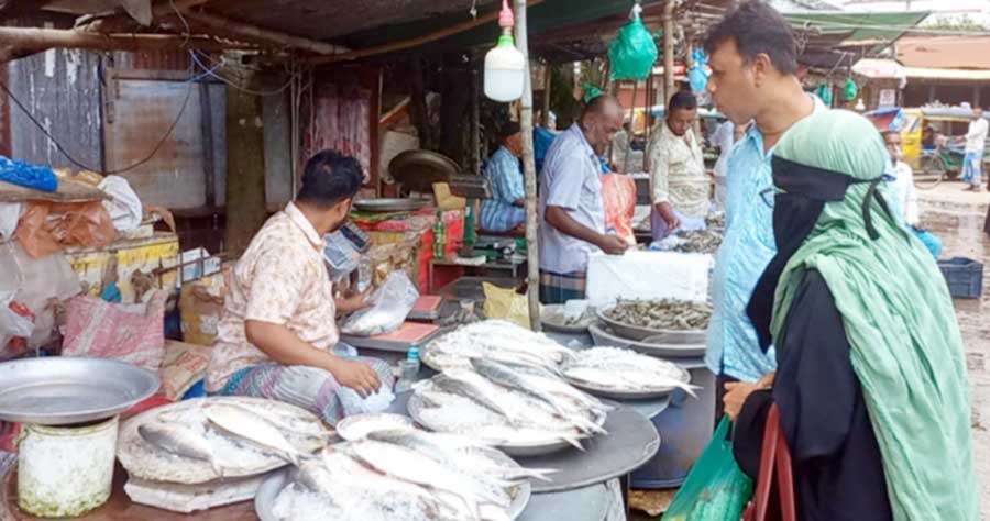 ইলিশের মূল্য নির্ধারণের উদ্যোগে মিশ্র প্রতিক্রিয়া, বিক্রি বন্ধের হুঁশিয়ারি ব্যবসায়ীদের