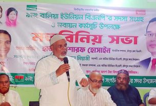 বালিয়া ইউনিয়নে বিএনপির সদস্য সংগ্রহ ও নবায়ন উপলক্ষে মতবিনিময় সভা