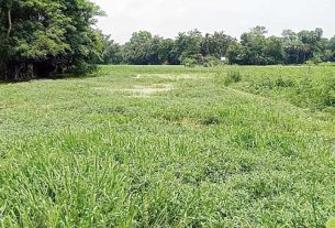 কচুয়ায় পানি নিষ্কাশনের অভাবে তিন শতাধিক বিঘা ফসলি জমি পানির নিচে