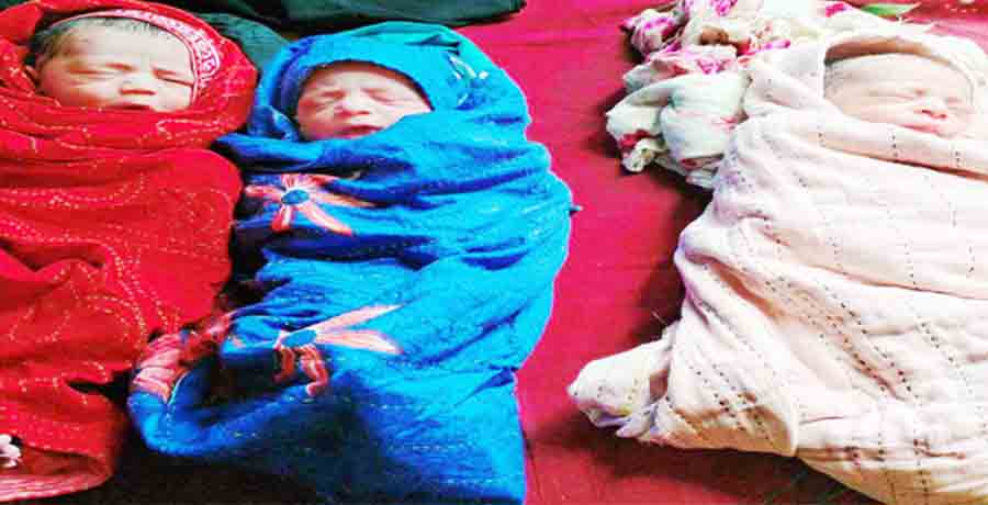 কচুয়ায় একসঙ্গে তিন সন্তানের জন্ম, পরিবারে খুশির সুর