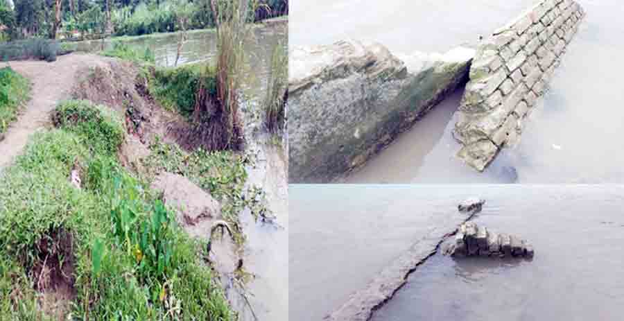 শত বছরের গ্রামীণ সড়ক মেঘনার তীব্র ভাঙনে বিলীন হওয়ার পথে