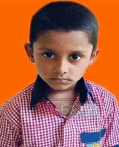 শাহরাস্তিতে সাপের ছোবলে স্কুলশিশুর মৃত্যু