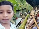 ঝড়ের তাণ্ডবে মতলব উত্তরে ঘরের ওপর গাছ ভেঙে পড়ে শিশুর মৃত্যু