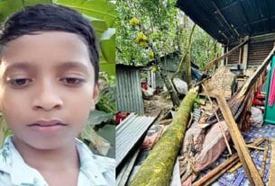 ঝড়ের তাণ্ডবে মতলব উত্তরে ঘরের ওপর গাছ ভেঙে পড়ে শিশুর মৃত্যু