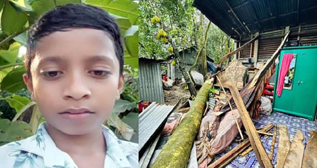 ঝড়ের তাণ্ডবে মতলব উত্তরে ঘরের ওপর গাছ ভেঙে পড়ে শিশুর মৃত্যু