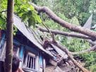 কালবৈশাখী ঝড়ে লণ্ডভণ্ড শাহরাস্তি, ক্ষয়ক্ষতির পরিমাণ কোটি টাকা