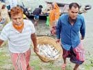 মহাজন নির্ভরতা ও কমিশন প্রথায় টিকে থাকা নিয়ে সংকটে চাঁদপুরের জেলে সম্প্রদায়