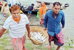 মহাজন নির্ভরতা ও কমিশন প্রথায় টিকে থাকা নিয়ে সংকটে চাঁদপুরের জেলে সম্প্রদায়