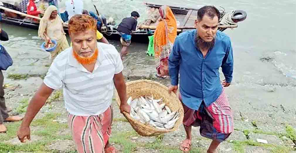 মহাজন নির্ভরতা ও কমিশন প্রথায় টিকে থাকা নিয়ে সংকটে চাঁদপুরের জেলে সম্প্রদায়