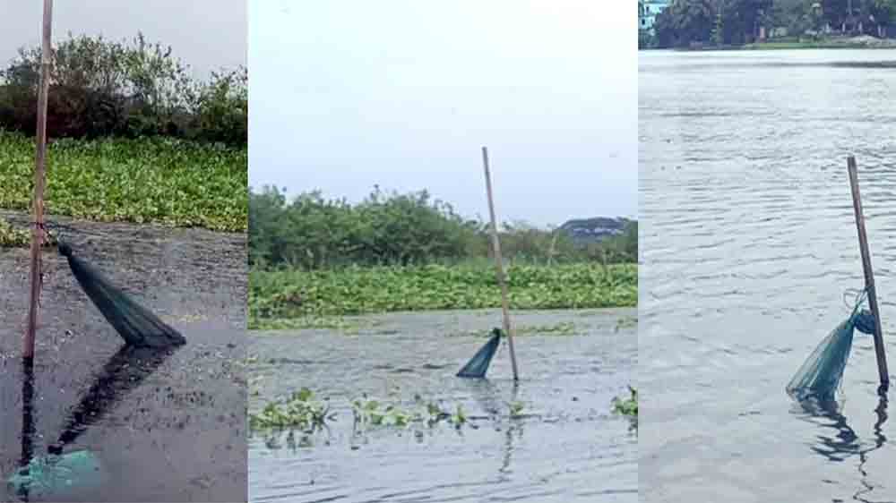 প্রশাসনের নাকের ডগায় ডাকাতিয়ায় রিং জালের দৌরাত্ম্য