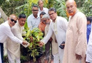 হাইমচরে প্রাথমিক বিদ্যালয়ে বৃক্ষরোপণ কর্মসূচির উদ্বোধন