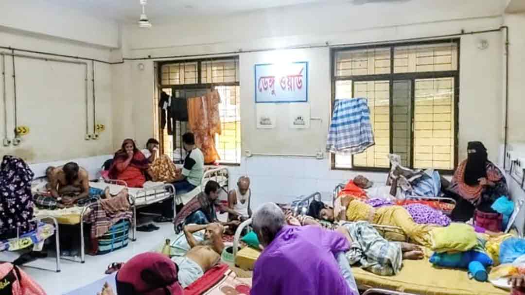 চাঁদপুরে জুলাইয়ে বেড়েছে ডেঙ্গু, হাসপাতালে ভর্তি ১৬