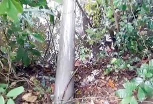 মতলবে সড়কের নিচে ড্রেজার পাইপ, কর্তৃপক্ষের নিষ্ক্রিয়তায় ক্ষোভ