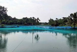 পরিকল্পনাহীন জলাশয় খননে চাঁদপুরে কমছে কৃষিজমি
