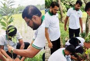 হাইমচরে গ্রিন ভয়েসের বৃক্ষরোপণ ও চারা বিতরণ কর্মসূচি