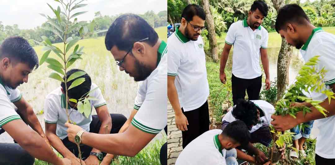 হাইমচরে গ্রিন ভয়েসের বৃক্ষরোপণ ও চারা বিতরণ কর্মসূচি