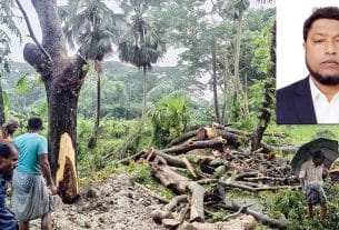 পাউবোর গাছ বিক্রির অভিযোগে ফরিদগঞ্জ থানায় লিখিত অভিযোগ