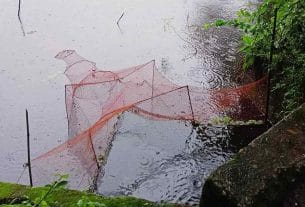 সুতার আড়ালে মতলবে নিষিদ্ধ চায়না দুয়ারি জালের গোপন বাণিজ্য