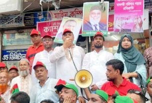 মতলব দক্ষিণে বিএনপির ৪৮তম প্রতিষ্ঠাবার্ষিকী পালিত