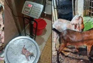 পালবাজারের মুরগি ব্যবসায়ী ও ফরিদগঞ্জের কসাইয়ের বিরুদ্ধে প্রতারণার অভিযোগ